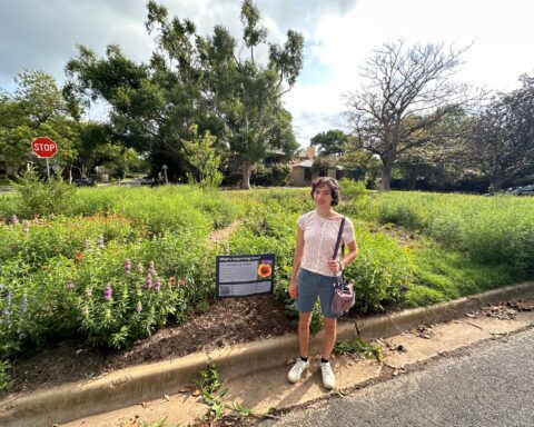 Juliette Madere on a recent weekend morning, doing maintenance on her rewilding garden in West Austin. Photo by Forrest Preece.