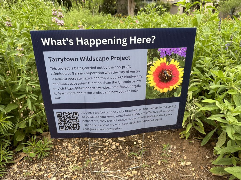 This sign gives background about the project. Photo by Forrest Preece.