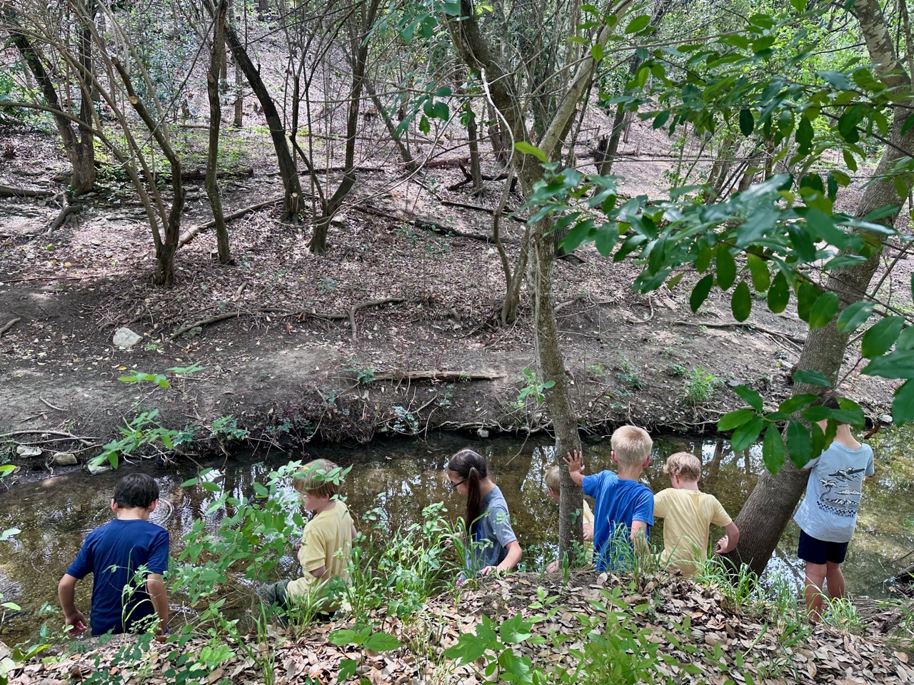 A group of first graders plays near the creek in Reed Park. Clearing of invasives such as poison ivy has allowed for more play in woodland areas of Reed Park