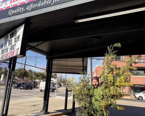 Austin Flower Co